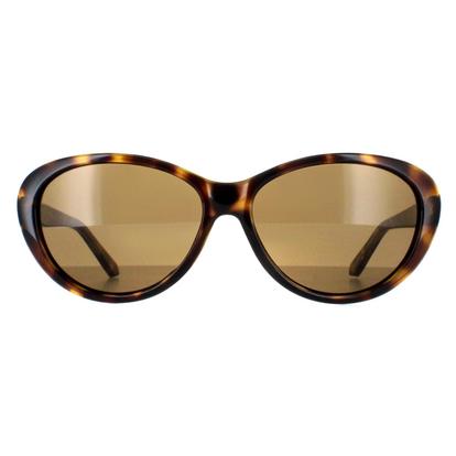 Brown Oval Havana Brown Gradient Tb1315 Cougar