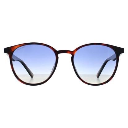 Brown Round Havana Blue Gradient Echo
