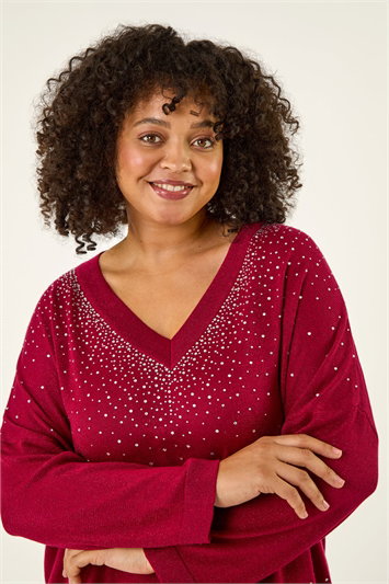 Red Curve Sparkly Knit Top