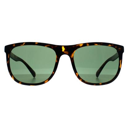 Brown Square Shiny Havana Green Ck22557s