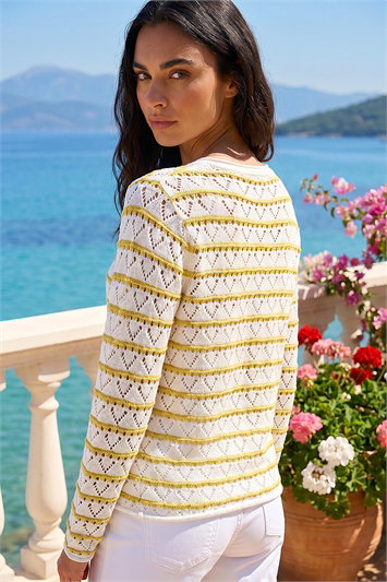 Stripe Pointelle Knit Jumper 16329994
