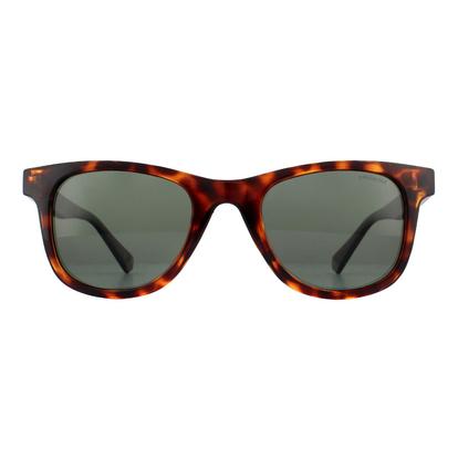 Brown Rectangle Dark Havana Green Polarized Sunglasses