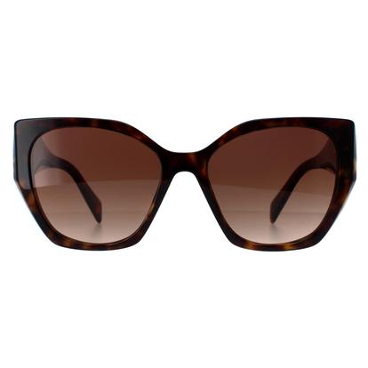 Brown Square Havana Brown Gradient Pr19zs