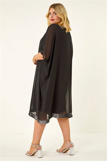 Curve Sequin Chiffon Overlay Dress 14797908