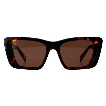 Brown Rectangle Honey Havana Dark Brown Pr08ys