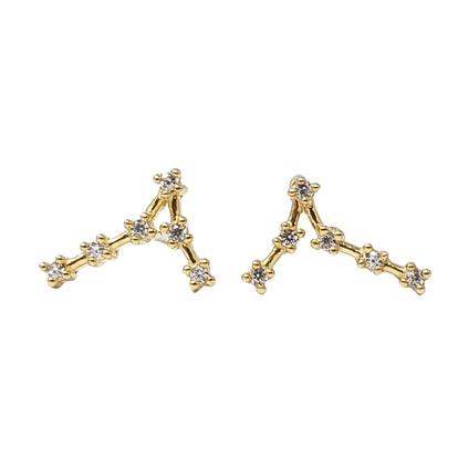 Metallic Pisces Star Sign Constellation Astrology Tiny Earrings