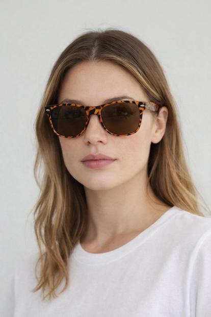 Brown Classic Wayfarer Plastic Frame Sunglasses