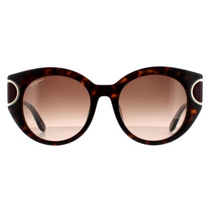Brown Cat Eye Tortoise Brown Gradient Sunglasses