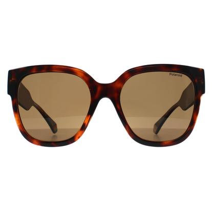 Brown Square Havana Bronze Polarized Pld 6167/S