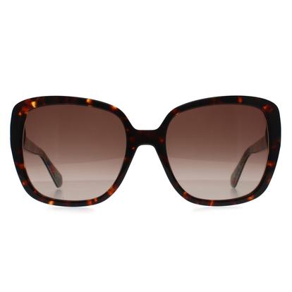 Brown Butterfly Havana Brown Gradient Wilhemina/S