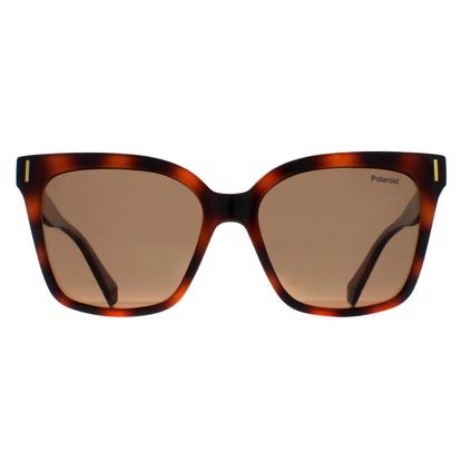 Brown Cat Eye Havana Bronze Polarized Pld 6192/S