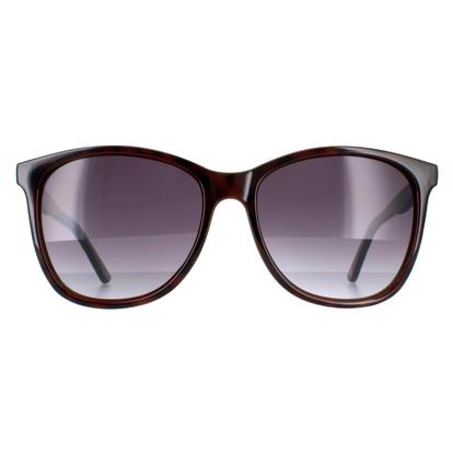 Brown Oval Tortoiseshell Grey Gradient Tb1496 Alva