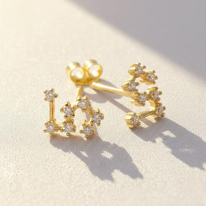 Metallic Leo Star Sign Constellation Astrology Tiny Earrings