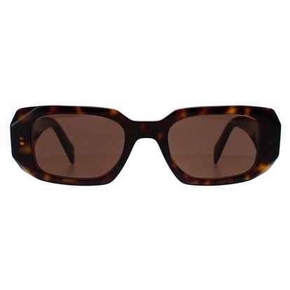 Brown Rectangle Tortoise Brown Pr17ws
