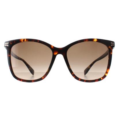 Brown Butterfly Havana Brown Gradient Mj 1106/S
