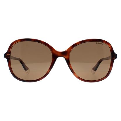 Brown Butterfly Havana Bronze Polarized Pld 4136/S