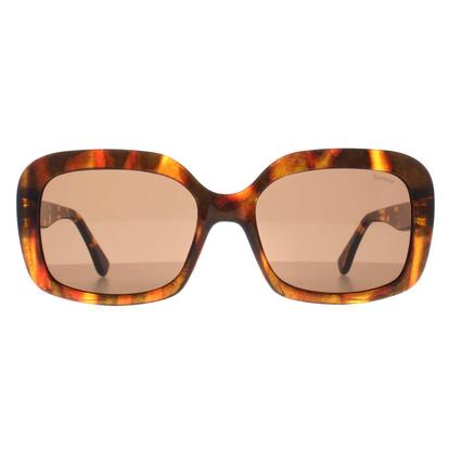 Brown Butterfly Havana Brown 3070