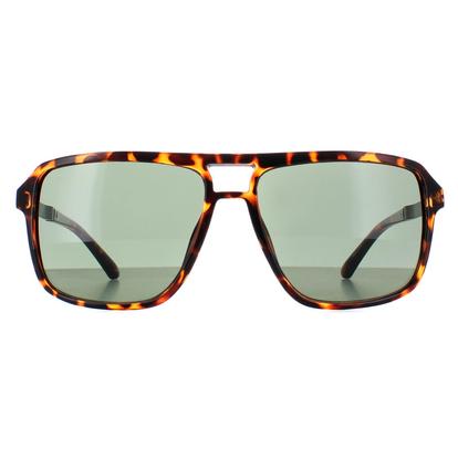 Brown Aviator Dark Havana Green Gf5085