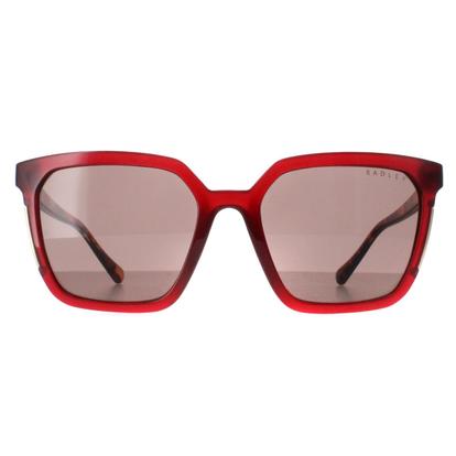 Red Square Transparent Burgundy Brown Allington 6506