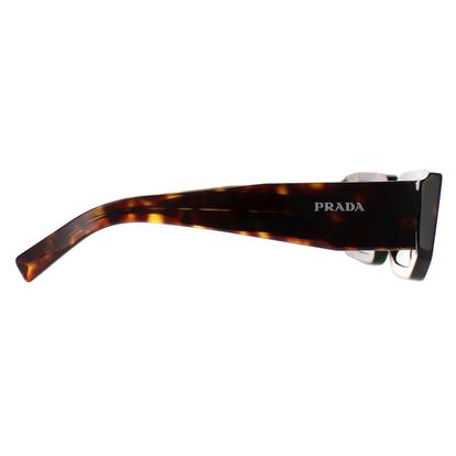 Brown Rectangle Dark Tortoise Dark Brown Pr06ys