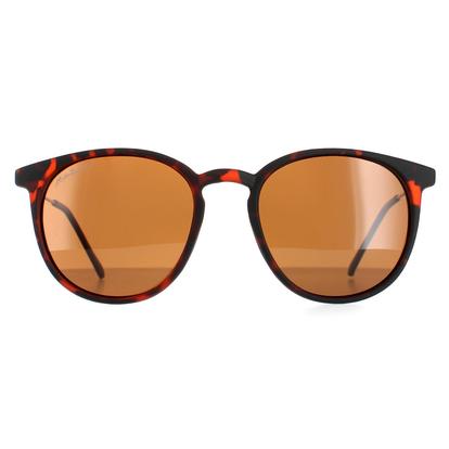 Brown Round Havana Rubbertouch Brown Polarized Mp33 Sunglasses
