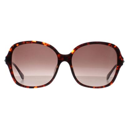 Brown Buttefly Havana Brown Gradient Kaiya/F/S