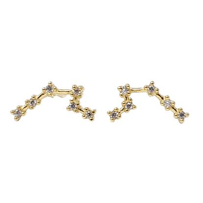 Metallic Aquarius Star Sign Constellation Astrology Earrings