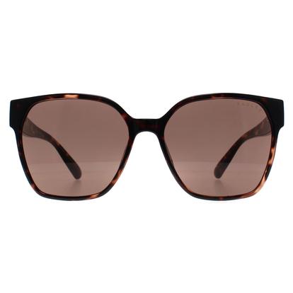 Brown Square Havana Brown Rds-6528-102