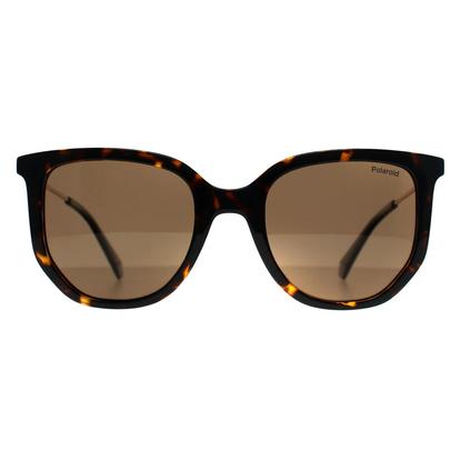 Brown Hexagonal Havana Bronze Polarized Pld 4185/S/X