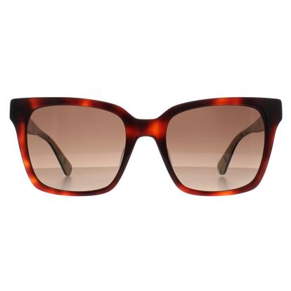 Brown Square Havana Brown Gradient Harlow/G/S