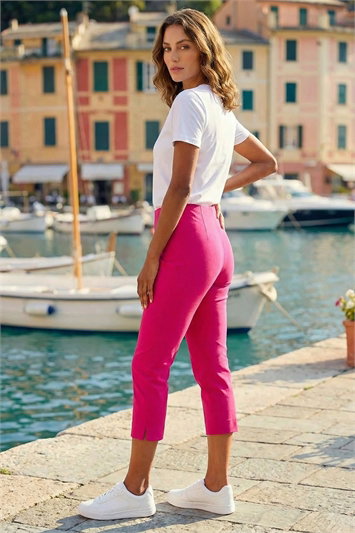 Petite Cropped Stretch Trouser 18031517