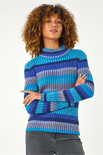 Roll Neck Stripe Print Ribbed Knit Jumper 16156209