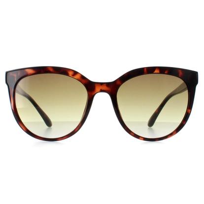 Brown Cat Eye Shiny Havana Brown Gradient Ck22552s