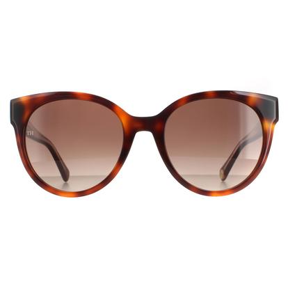Brown Cat Eye Havana Brown Gradient Th 1885/S