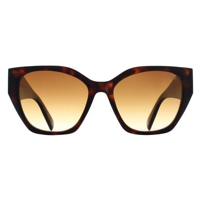 Brown Cat Eye Shiny Brown Tortoise Brown Gradient Zenith