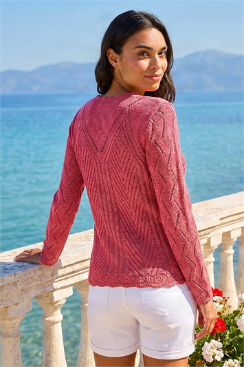 Scallop V-Neck Knit Jumper 16191817