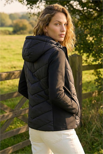 Contrast Hooded Padded Jacket 15037408