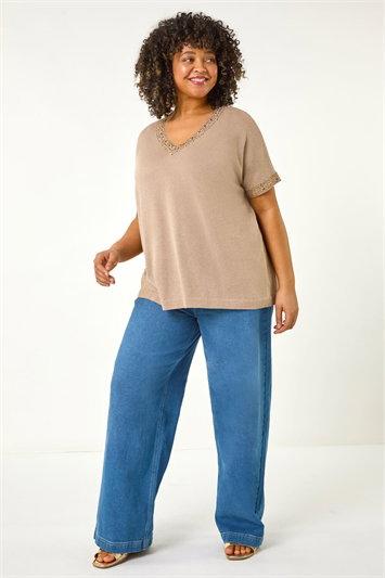 Curve Sparkly V-Neck Knit Top 16193833
