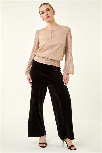 Petite Wide Leg Velvet Stretch Trouser 18050708