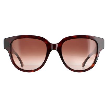 Brown Round Dark Turtle Brown Gradient Pssn047 Darcy
