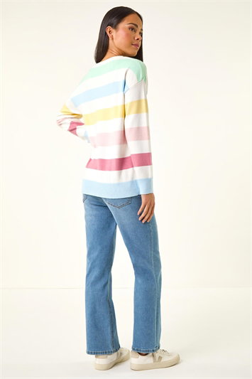 Petite Stripe Knit Jumper 16327138