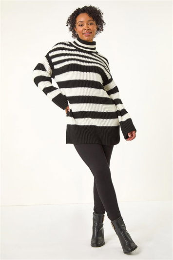 Petite Stripe High Neck Jumper 16122208