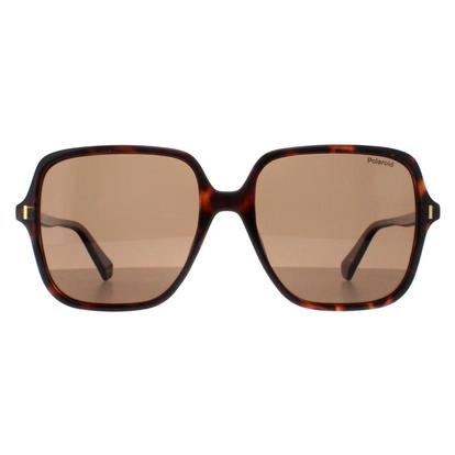 Brown Square Havana Bronze Polarized Pld 6219/S