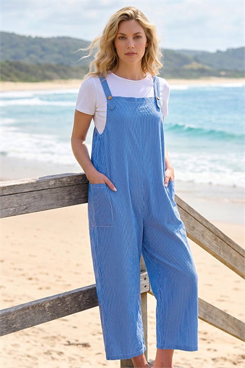 Blue Stripe Print Jumpsuit