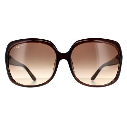 Brown Rectangle Brown Brown Gradient Sunglasses
