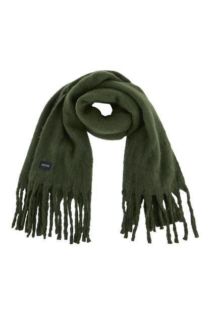 Green Aleena Ombre Scarf