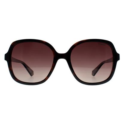 Brown Square Havana Brown Gradient Polarized Pld 4177/S/X