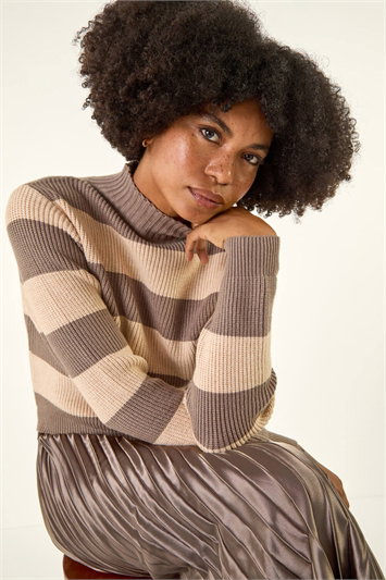 Stripe Knit Pleated Dress 14810989