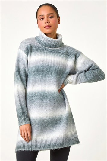 Petite Spacedye Stripe Roll Neck Jumper 16115636