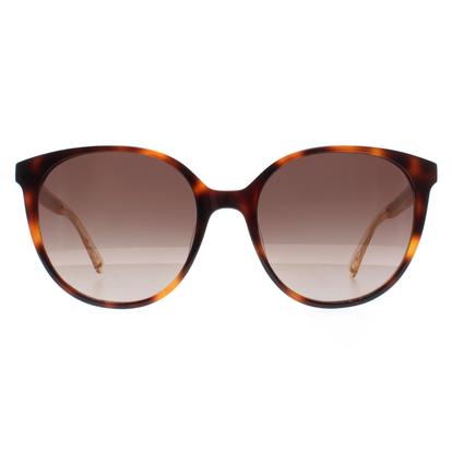 Brown Oval Havana Brown Gradient Kimberlyn/G/S